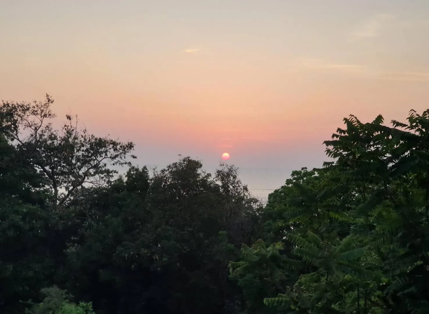 Tommy Resort Ko Tao
