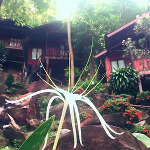 Hill 3*, Phi Phi Don Thailandia
