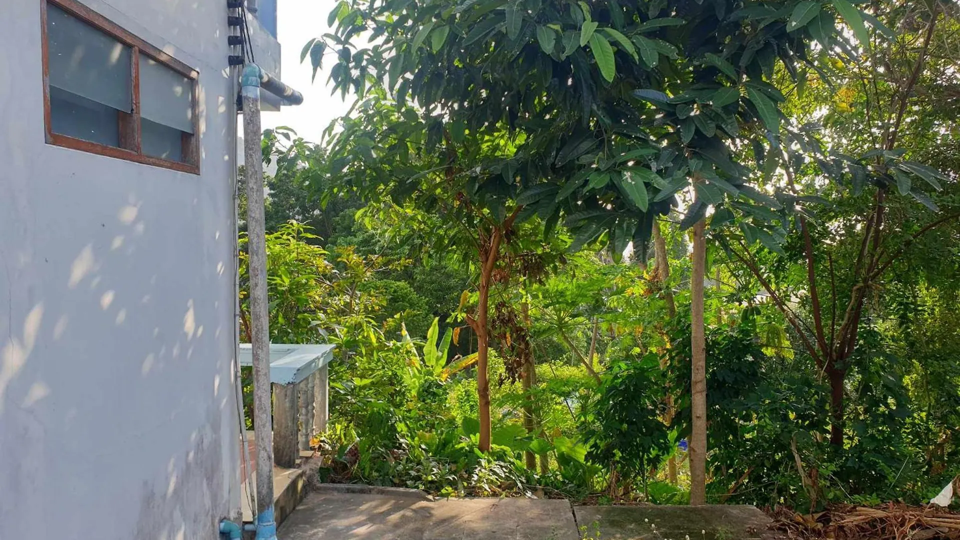 Tommy Resort Ko Tao