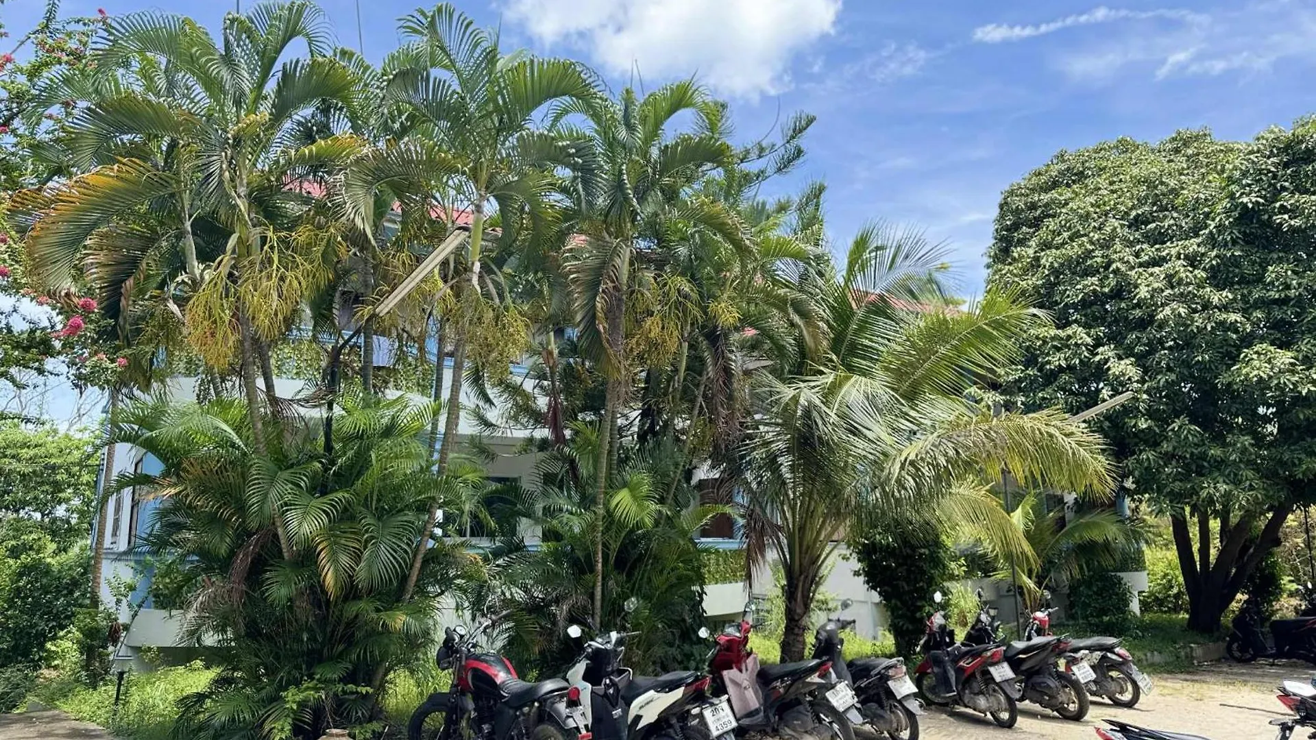Tommy Resort Ko Tao Aparthotel